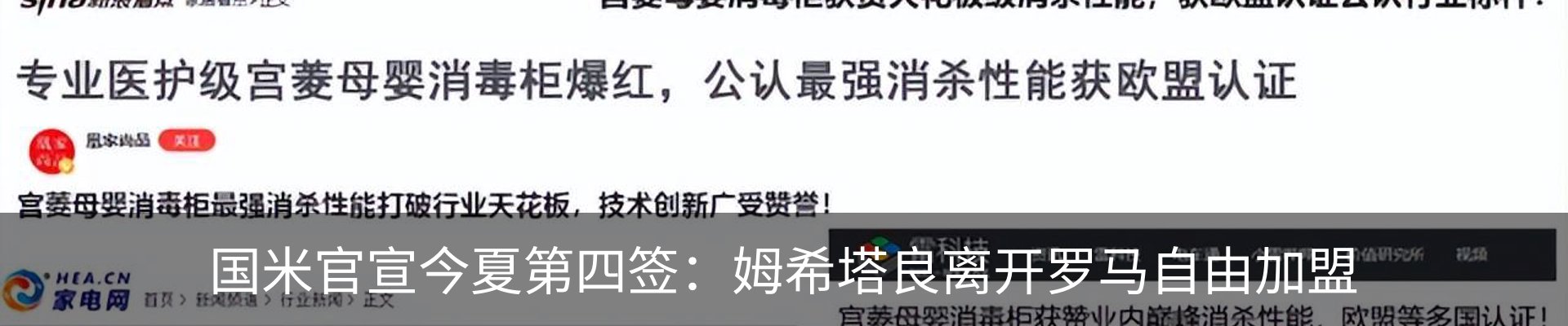 最新动态